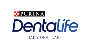 Dentalife